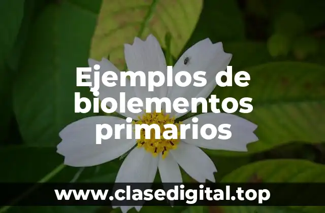 Ejemplos de biolementos primarios