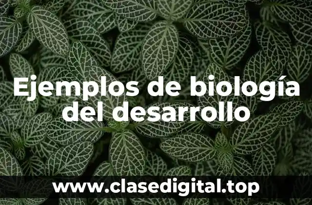 Ejemplos de biología del desarrollo