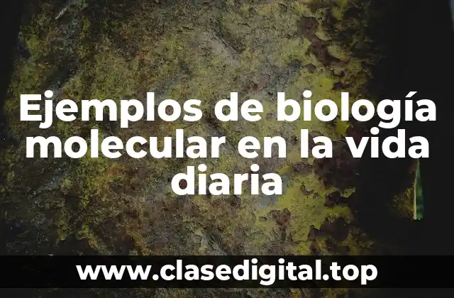 Ejemplos de biología molecular en la vida diaria