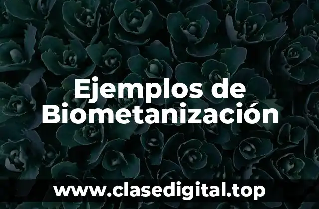 Ejemplos de Biometanización