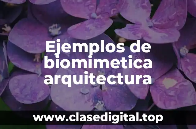 Ejemplos de biomimetica arquitectura