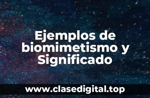 Ejemplos de biomimetismo y Significado