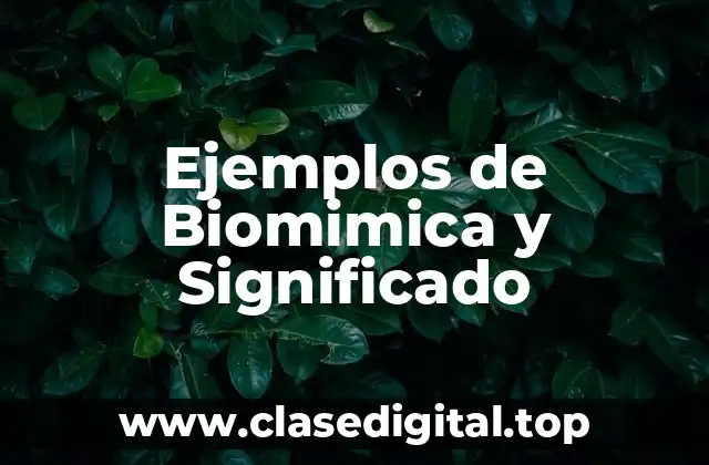 Ejemplos de Biomimica y Significado