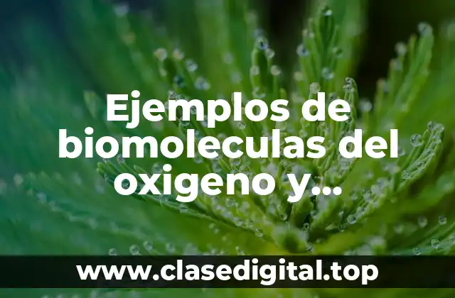 Ejemplos de biomoleculas del oxigeno y Significado