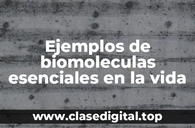 Ejemplos de biomoleculas esenciales en la vida