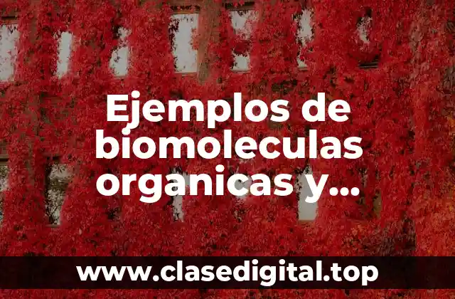 Ejemplos de biomoleculas organicas y inorganicas