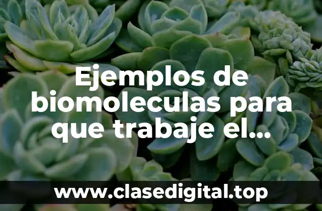 Ejemplos de biomoleculas para que trabaje el corazón