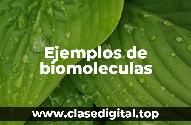 Ejemplos de biomoleculas