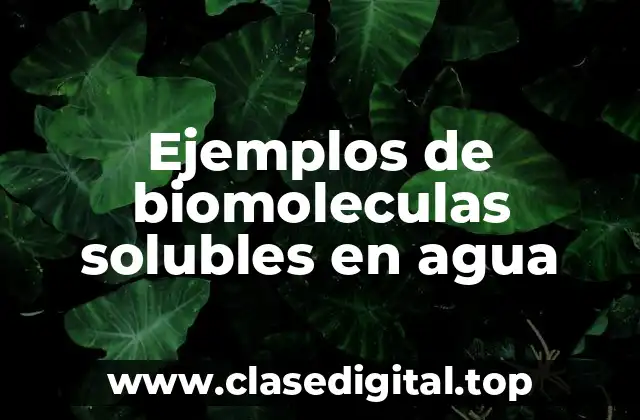 Ejemplos de biomoleculas solubles en agua