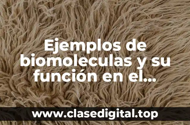 Ejemplos de biomoleculas y su función en el organismo