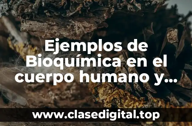 Ejemplos de Bioquímica en el cuerpo humano y Significado
