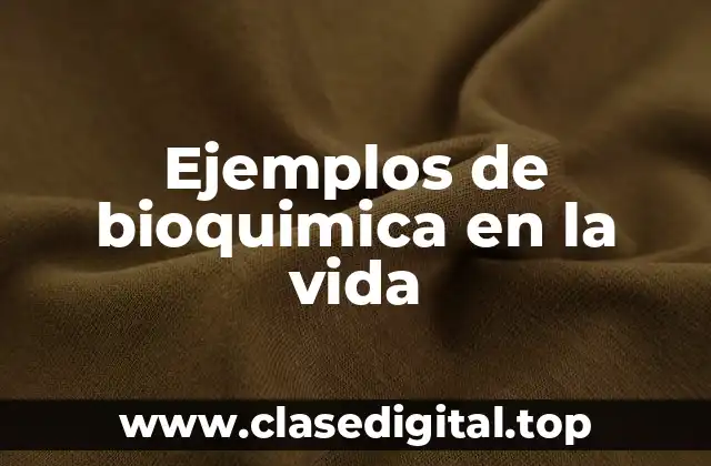 Ejemplos de bioquimica en la vida