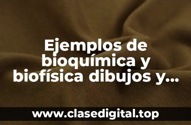 Ejemplos de bioquímica y biofísica dibujos y Significado
