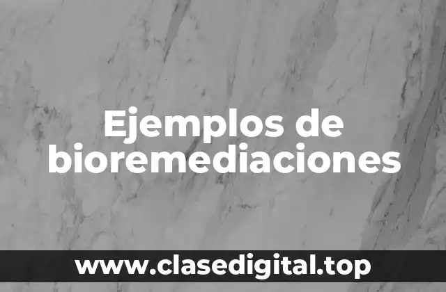 Ejemplos de bioremediaciones