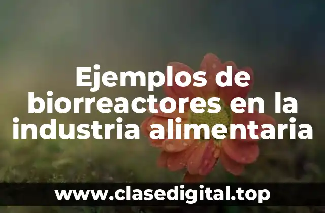Ejemplos de biorreactores en la industria alimentaria