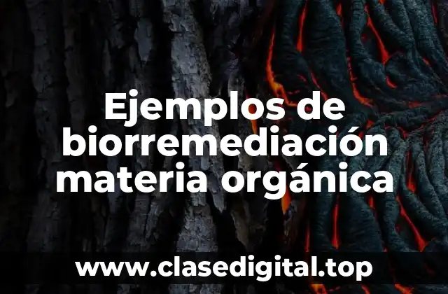 Ejemplos de biorremediación materia orgánica