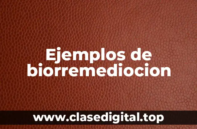 Ejemplos de biorremediocion
