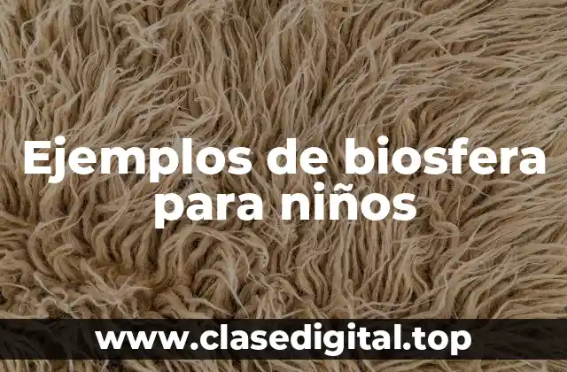 Ejemplos de biosfera para niños