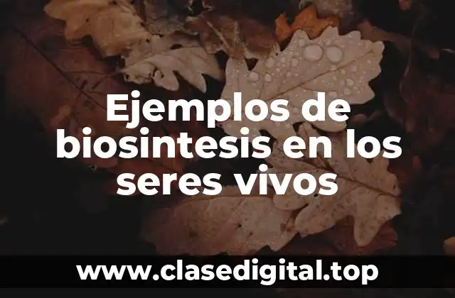Ejemplos de biosintesis en los seres vivos