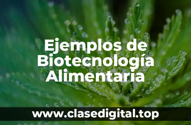 Ejemplos de Biotecnología Alimentaria