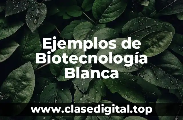 Ejemplos de Biotecnología Blanca
