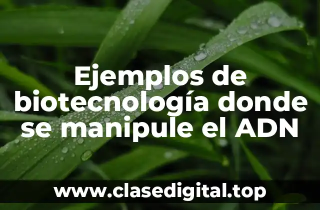 Ejemplos de biotecnología donde se manipule el ADN