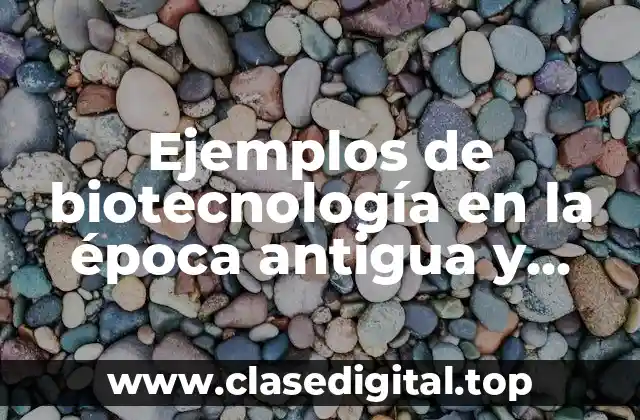 Ejemplos de biotecnología en la época antigua