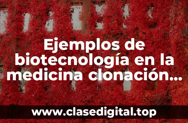 Ejemplos de biotecnología en la medicina clonación humana