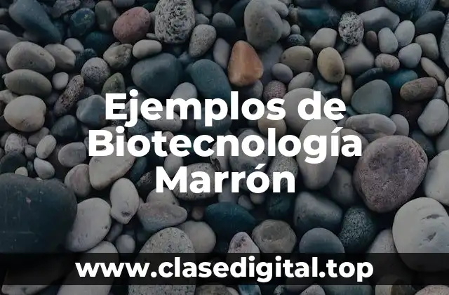 Ejemplos de Biotecnología Marrón
