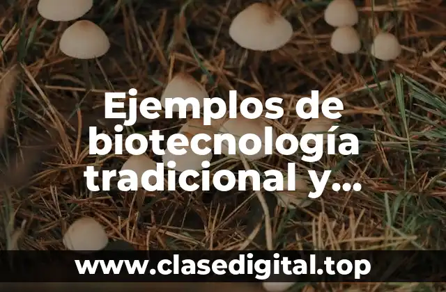 Ejemplos de biotecnología tradicional y moderna