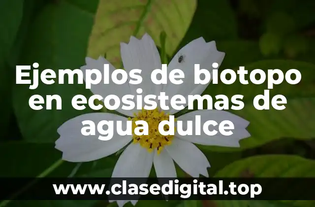 Ejemplos de biotopo en ecosistemas de agua dulce
