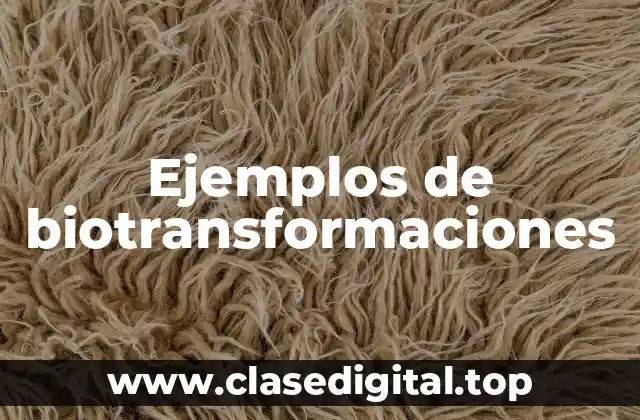 Ejemplos de biotransformaciones