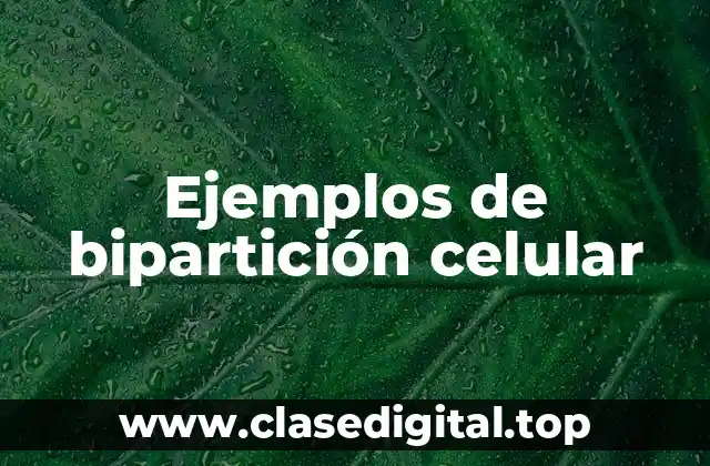 Ejemplos de bipartición celular