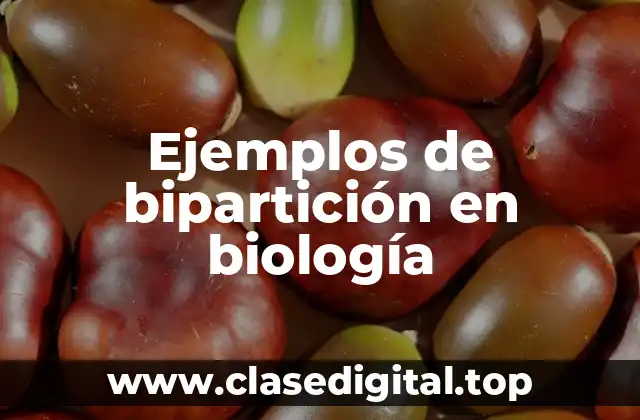 Ejemplos de bipartición en biología