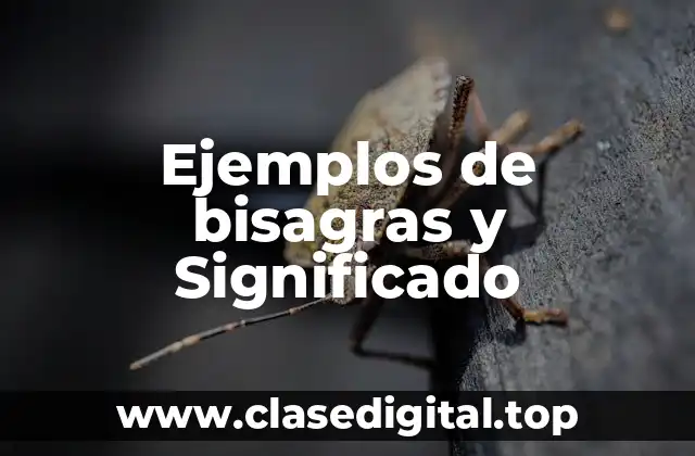 Ejemplos de bisagras y Significado
