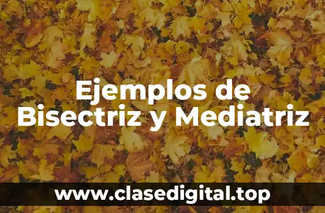 Ejemplos de Bisectriz y Mediatriz