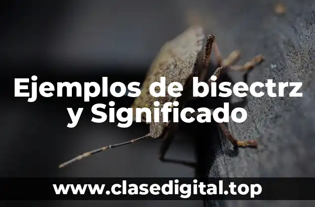 Ejemplos de bisectrz y Significado
