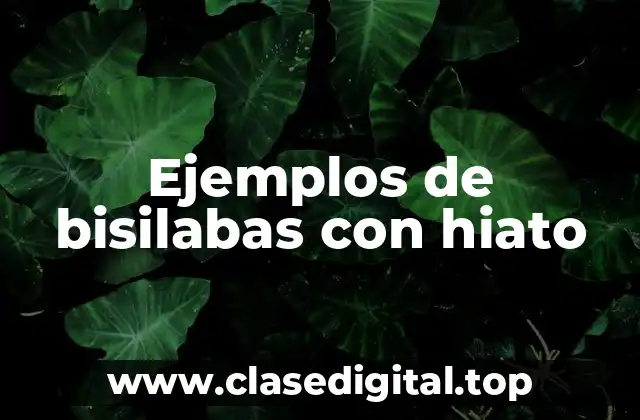 Ejemplos de bisilabas con hiato