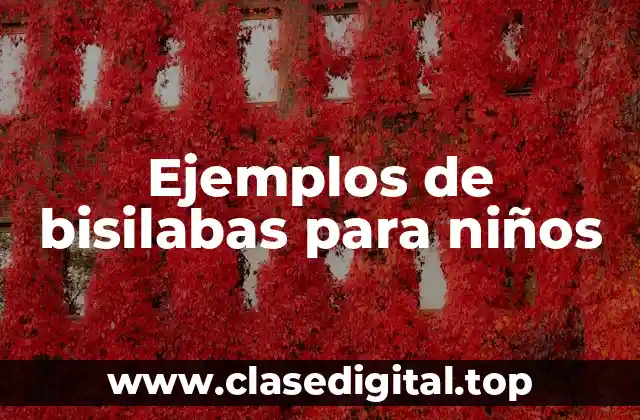 Ejemplos de bisilabas