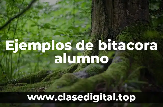 Ejemplos de bitacora alumno