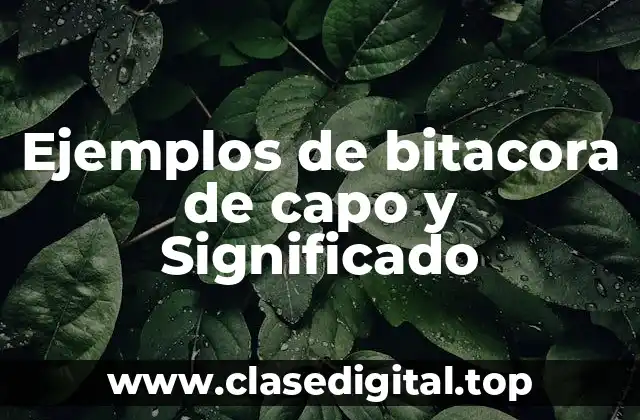 Ejemplos de bitacora de capo y Significado