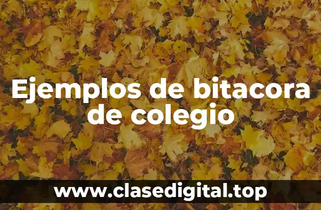 Ejemplos de bitacora de colegio