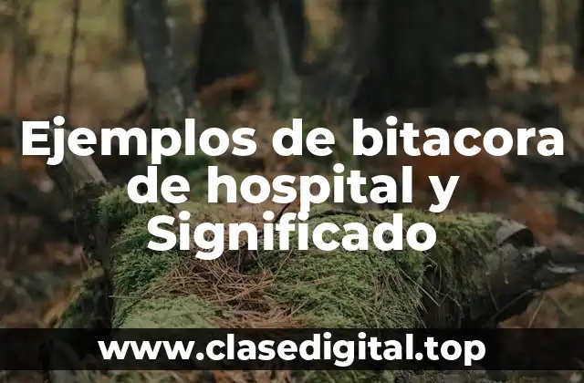 Ejemplos de bitacora de hospital y Significado