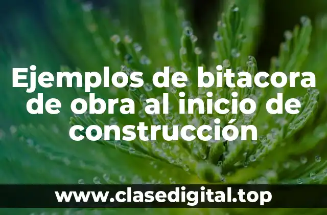 Ejemplos de bitacora de obra al inicio de construcción