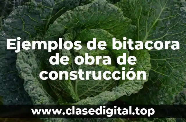 Ejemplos de bitacora de obra de construcción