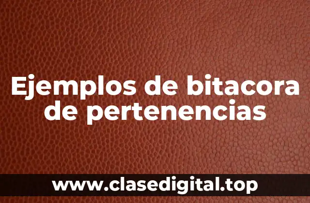 Ejemplos de bitacora de pertenencias