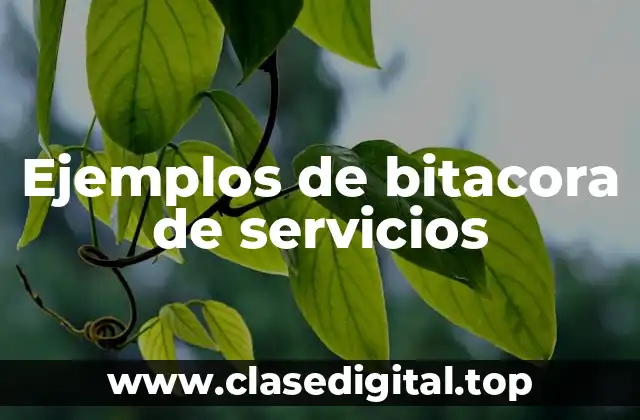 Ejemplos de bitacora de servicios