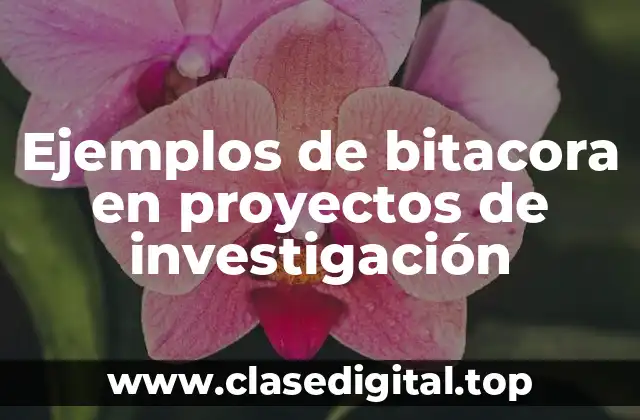 Ejemplos de bitacora en proyectos de investigación