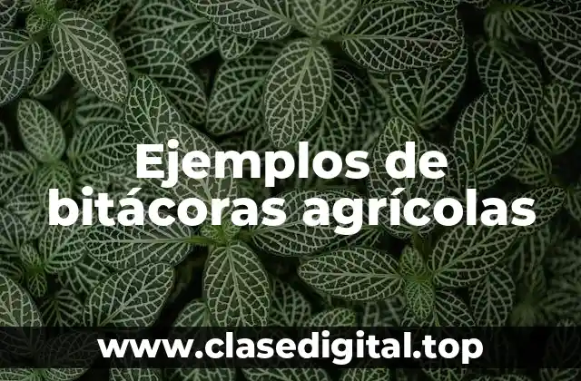 Ejemplos de bitácoras agrícolas