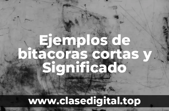 Ejemplos de bitacoras cortas y Significado